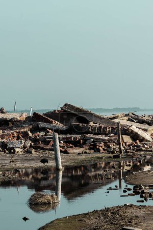 Foto de Resiliencia en medio de la devastación: ruinas en alto después del mar - Imagen libre de derechos