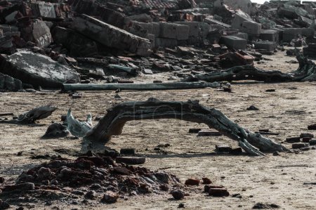 Téléchargez les photos : Résilience au milieu de la dévastation : ruines debout haut après le Mar - en image libre de droit