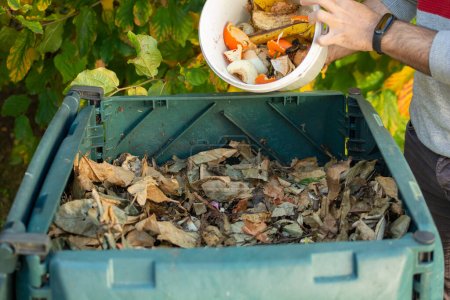 Photo for A young man is emptying a bucket with organic waste in a outdoor compost bin.The compost bin is placed in a home garden to recycle organic waste produced in home and garden and produce organic fertilizer. Concept of recycling and sustainability - Royalty Free Image
