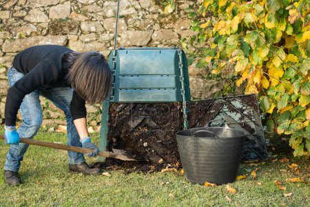 Photo for A man is digging and loading ready compost from a outdoor compost bin to use in the garden. The compost bin is placed in a home garden to recycle organic waste produced in home and garden. Concept of recycling and sustainability - Royalty Free Image
