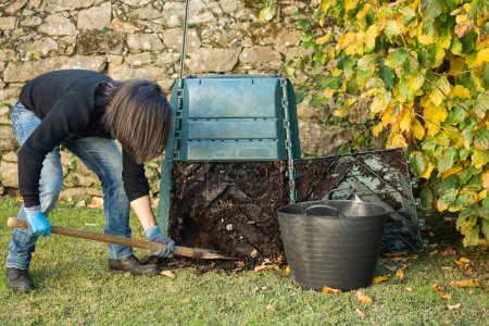 A man is digging and loading ready compost from a outdoor compost bin to use in the garden. The compost bin is placed in a home garden to recycle organic waste produced in home and garden. Concept of recycling and sustainability