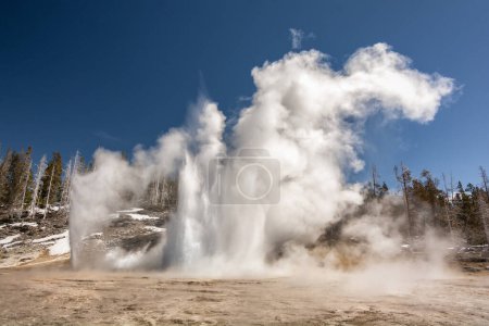 Ein Bild, das die rohe Kraft der Natur beim Ausbruch eines Geysirs einfängt und Dampf- und Wasserfahnen im Yellowstone sendet