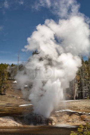 Ein Bild, das die rohe Kraft der Natur beim Ausbruch eines Geysirs einfängt und Dampf- und Wasserfahnen im Yellowstone sendet