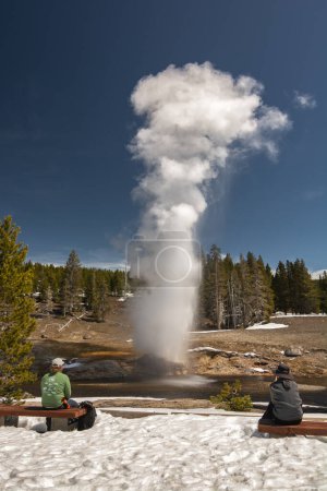 Ein Paar starrt auf die rohe Kraft der Natur, als ein Geysir ausbricht und Dampf und Wasser in den Yellowstone schickt