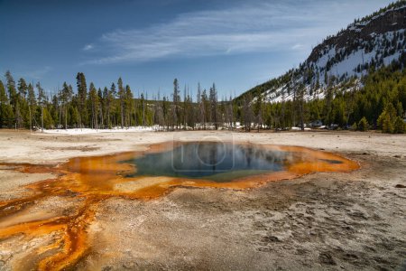Lebendige heiße Quelle mit dampfendem Wasser, umgeben von farbenfrohen Mineralvorkommen im Yellowstone-Nationalpark