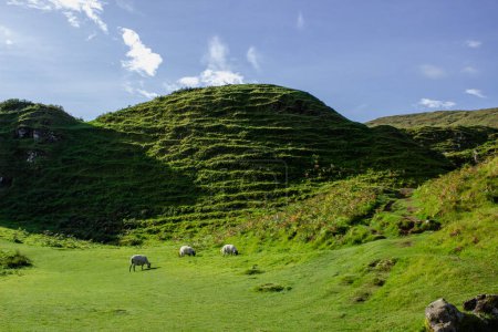 Photo for Cone-shaped hills of the Fairy Glen with sheep, Scotland, UK - Royalty Free Image