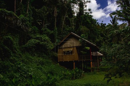 Photo for Wooden house in the jungle of the Loboc river in the Philippines. - Royalty Free Image