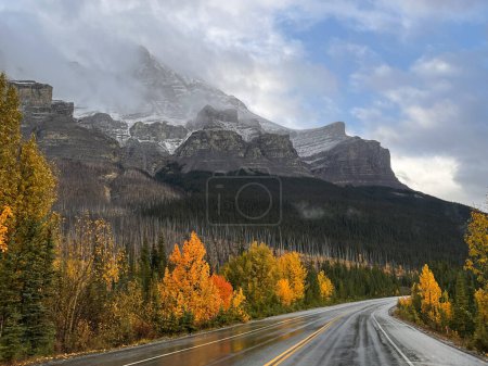 Wet Icefield Parkway with autumn trees on a rainy day, with snow-capped mountains.