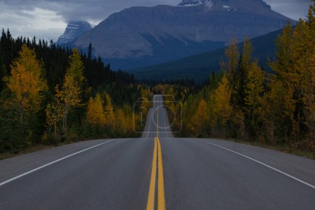 Hermosa carretera recta del Icefield Parkway en Canadá con árboles de otoño en un día nublado.