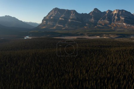 Photo for Aerial view of the incredible Mistaya Canyon in the Rocky Mountains, Canada. With its beautiful trees and its high mountains. - Royalty Free Image