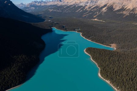Aerial view of the incredible Peyto Lake. Beautiful turquoise waters, surrounded by thousands of pine trees on a sunny day.