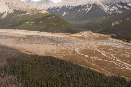 Beautiful aerial view of Medicine Lake in which different streams form in the form of roots, after the dry season, in the Canadian Rockies.