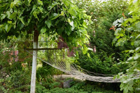 Téléchargez les photos : Hamac net dans le jardin de printemps dans la journée ensoleillée. Concept de relaxation - en image libre de droit