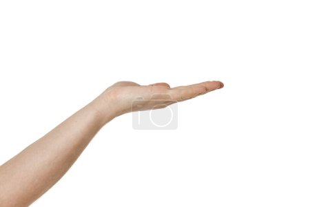 Téléchargez les photos : Main masculine tenant quelque chose avec les paumes vides vers le haut sur fond blanc - en image libre de droit