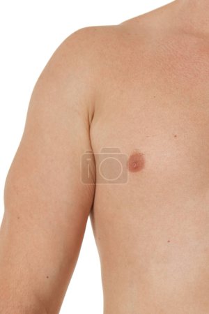 Photo for Muscular male torso and chest on white background, close-up - Royalty Free Image