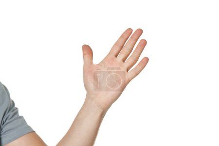Téléchargez les photos : Main masculine avec paume ouverte sur fond blanc - en image libre de droit