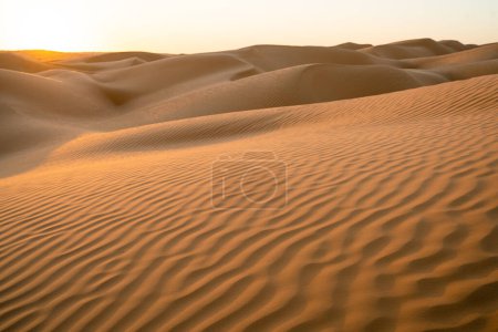 Téléchargez les photos : Vue sur le désert, région de Douz, sud de la Tunisie - en image libre de droit