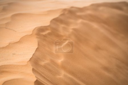 viento en la duna de arena del Sahara - sur de Túnez