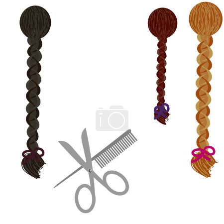 Illustration for Vector graphics. On a white background there are three female heads with long braids - a brunette, a brown-haired woman and a redhead. Below are scissors and a comb. - Royalty Free Image