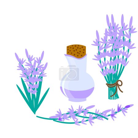 Vektorgrafiken. Auf weißem Hintergrund stehen Sträuße mit Lavendelblüten und eine Flasche Lavendelöl..