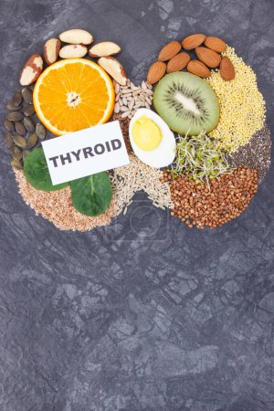Photo for Nutritious natural ingredients in shape of thyroid. Healthy food containing vitamins and minerals. Problems with thyroid concept. Place for text or inscription - Royalty Free Image
