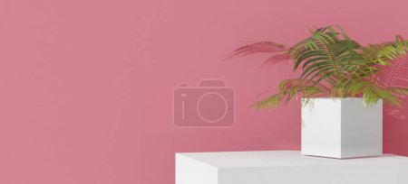 3D-Illustration einer grünen Palme im Topf, weißes leeres Regal. Pinkfarbener Hintergrund. Produktdisplay-Standattrappe.