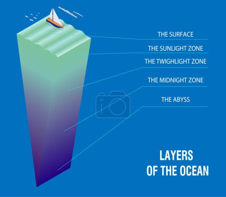 Illustration for Layers of the ocean, cross section. Vector illustration. Ocean geography - Royalty Free Image