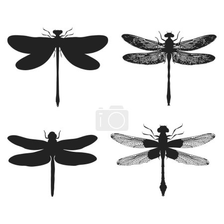Téléchargez les illustrations : Ensemble de silhouettes noires libellules, isolées sur blanc, illustration vectorielle - en licence libre de droit