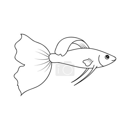 Ilustración de Esquema Guppy aislado sobre un fondo blanco. Imagen vectorial de un pez ángel - Imagen libre de derechos
