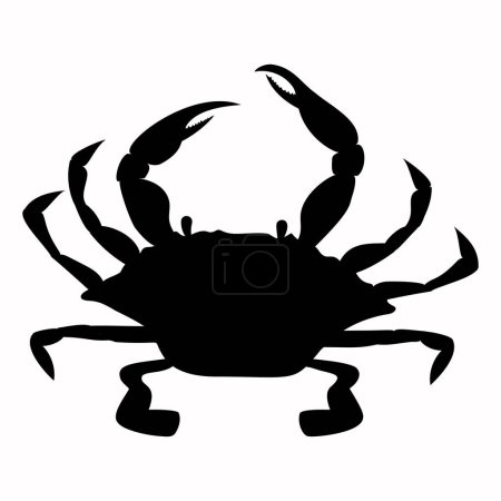 Illustration for Blue crab shadow isolated on white background. Seafood shop logo, signboard, restaurant menu, fish market, banner, poster design template. - Royalty Free Image