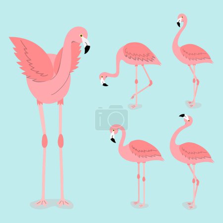  Exotischer Flamingo auf blauem Hintergrund. Pinkfarbene Flamingos stehen in verschiedenen Posen. Vektorillustration