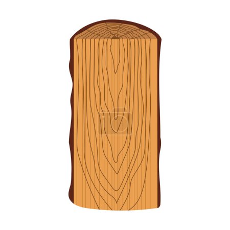 Illustration for Tangential section of the trunk. Cross section of tree trunk. Vector illustration isolated on white background. - Royalty Free Image