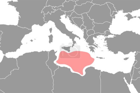 Ilustración de Mar de Libia en el mapa del mundo. Ilustración vectorial. - Imagen libre de derechos