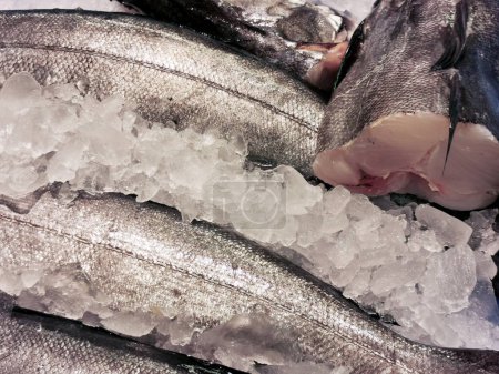Téléchargez les photos : Morue de poisson frais dans la vitrine dans la glace - en image libre de droit