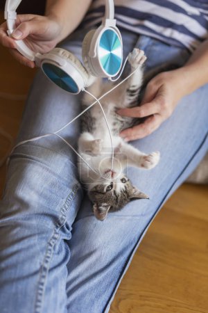 Téléchargez les photos : Vue du dessus d'une femme tenant et câlinant un beau petit chaton gris et blanc sur ses genoux ; chaton jouant avec un casque, écoutant de la musique - en image libre de droit