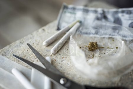 Foto de Vista de ángulo alto de las articulaciones enrolladas y los brotes de marihuana en una bolsa. Enfoque selectivo en la parte superior de la articulación más estrecha - Imagen libre de derechos