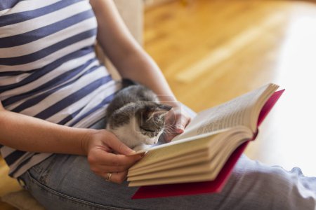 Foto de Suave gatito mimoso acostado en el regazo de su dueño disfrutando y ronroneando mientras el propietario está leyendo un libro en un ambiente cálido, acogedor y doméstico - Imagen libre de derechos