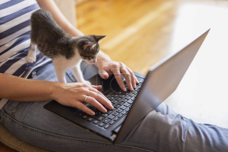 Téléchargez les photos : Femme pigiste travaillant à la maison, utilisant un ordinateur portable et tenant un mignon petit chaton sur ses genoux - en image libre de droit