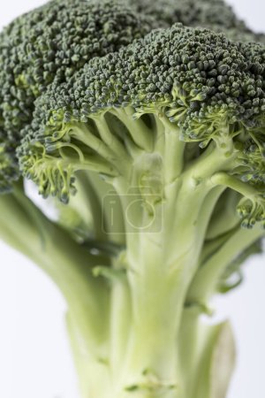 Photo for Close up of a fresh organic broccoli florets. Selective focus - Royalty Free Image