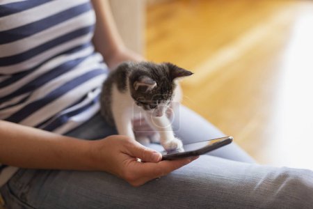 Foto de Detalle de las manos femeninas sosteniendo un teléfono inteligente y escribiendo un mensaje de texto mientras acaricia a lindo gatito curioso - Imagen libre de derechos