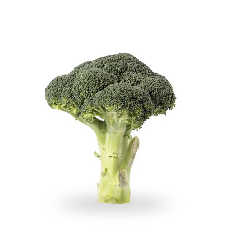 Photo for Close up of a fresh organic broccoli florets isolated on white background. All in focus, focus stacked image - Royalty Free Image