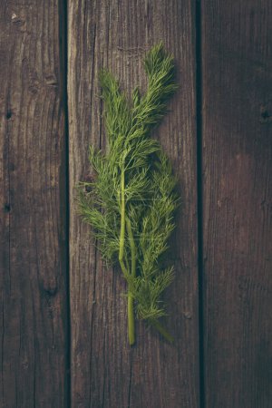 Photo for Top view of a fresh organic dill leaves on a rustic wooden table. Selective focus on parsley - Royalty Free Image