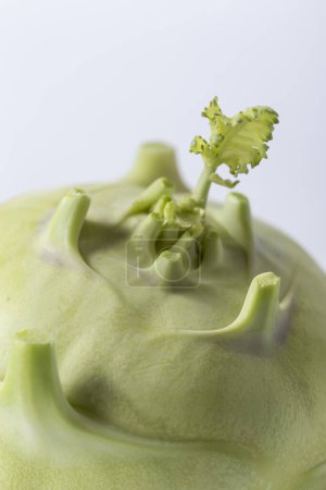 Photo for Close up of a fresh kohlrabi. Selective focus on the leaf - Royalty Free Image