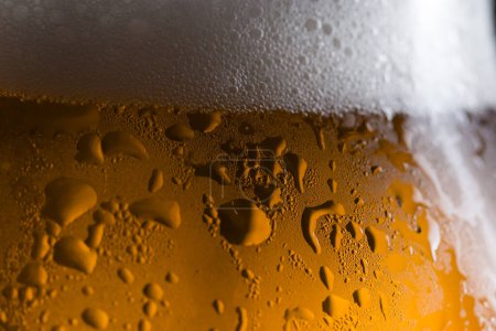Téléchargez les photos : Détail d'un verre mouillé de bière froide légère avec mousse. Concentration sélective - en image libre de droit