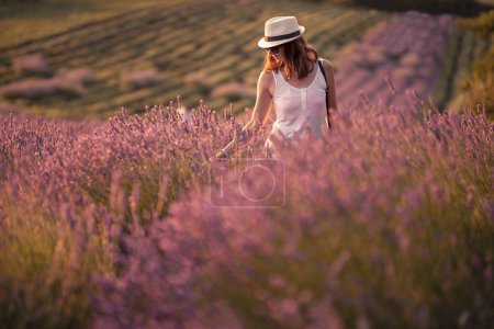 Téléchargez les photos : Jeune femme marchant à travers les champs de lavande, profitant du parfum et des couleurs du beau coucher de soleil d'été sur la prairie en fleurs - en image libre de droit