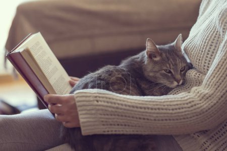 Téléchargez les photos : Doux chat câlin allongé sur les genoux de son propriétaire profitant et ronronnant pendant que le propriétaire lit un livre. Focus sur le chat ; ambiance chaleureuse, chaleureuse et domestique - en image libre de droit