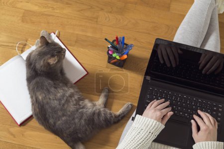 Téléchargez les photos : Vue de dessus d'une femme travaillant sur son ordinateur portable à la maison avec son chat comme assistante. Concentration sélective - en image libre de droit