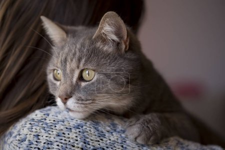 Téléchargez les photos : Femme tenant son chat de compagnie qui est couché sur son épaule et regardant par une fenêtre - en image libre de droit