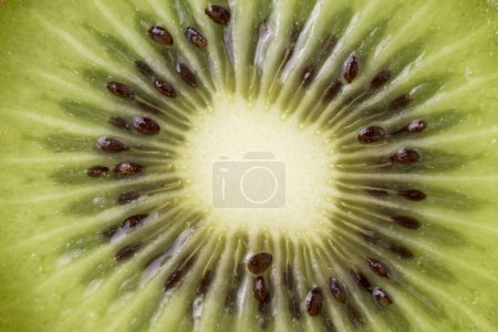 Téléchargez les photos : Gros plan d'une tranche de kiwi fraîche et juteuse - en image libre de droit