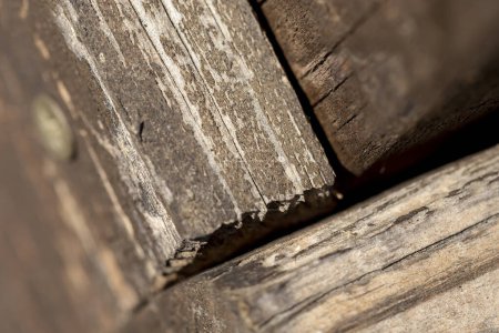 Foto de Macro detalle de la cerca de madera rústica de mala calidad con pintura despegando - Imagen libre de derechos